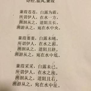 诗经二首：蒹葭与关雎的永恒之恋
