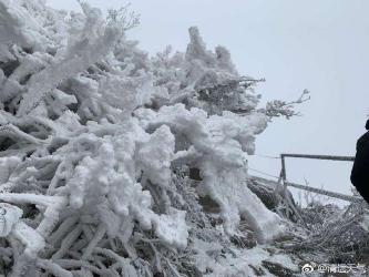 东莞下雪：南方城市的罕见美丽与喜悦