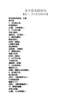 关于鸟的四字词语大全：生动描绘，一窥汉语博大精深