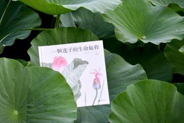 安全英语：生命旅程中的必备语言