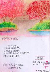 一起老去的爱情旅程：散文中的深沉与伟大