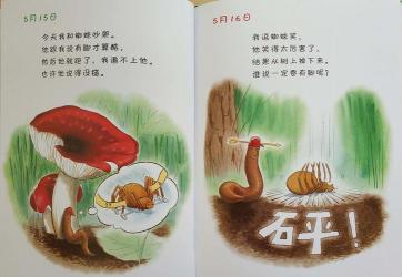 蚯蚓日记：一次与自然的亲密接触