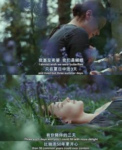 知音之交:珍视生命中的理解与陪伴