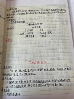 蝴蝶的家教案:关爱与探索之旅