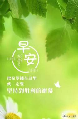 平凡人生中的幸福：珍惜身边的简单与美好