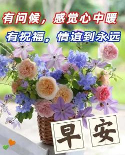 有志不在年高：一句充满智慧的谚语，激发我们的潜能和梦想