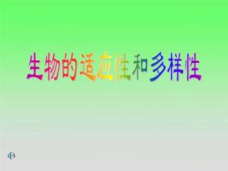生物对环境的适应：生存的智慧与策略