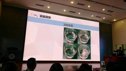 钠与水反应：活跃的金属元素与水的化学碰撞