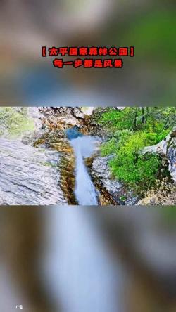 山中访友课文：遇见自然的美好与宁静