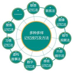 掌握过目不忘的记忆秘诀：实用记忆力训练法助你学习更轻松